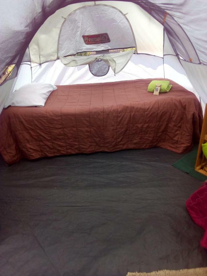 Camping & Travel Antigua Ngoại thất bức ảnh